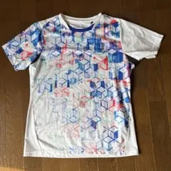 Item thumbnail for item 909f2356-975a-4336-a5e6-e17b9ea5a0aa