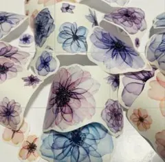 Item thumbnail for item b1cf386a-d445-40ec-8f0a-cb935e3dc2fe