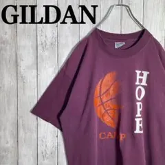 【希少カラー】ギルダン　両面ビックプリントTシャツ アニマル柄　鷹　パープル古着