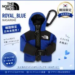 韓国限定 THE NORTH FACE ダウンジャケット型 キーホルダーチャーム