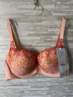 C75」トリンプ 天使のブラ(R) 魔法のハリ感596 ブラジャー