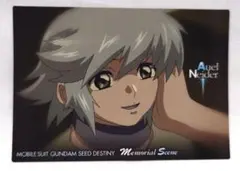 2-69 アウル ガンダムSEED DESTINYカードダスマスターズ