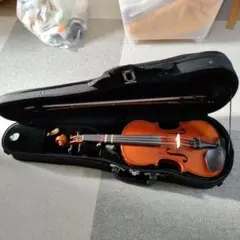 ヴァイオリン本体 Eastman Strings VL80 1/4 2013のサムネイル