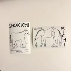 【2枚セット】soyuhimoaru おみくじブロマイド2026①