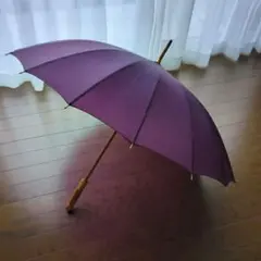 Guy Laroche 16本骨　長雨傘のサムネイル