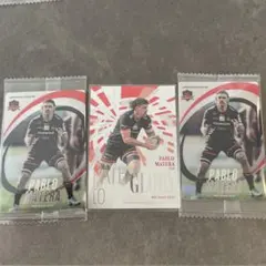 Item thumbnail for item 2642d4e2-ee93-4c79-9676-11c10329e38b