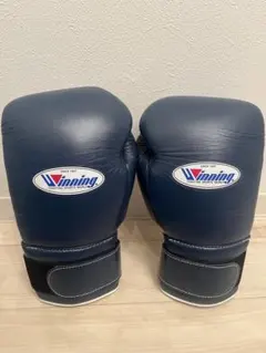 2026年最新】ウィニングボクシンググローブ 14の人気アイテム - メルカリ