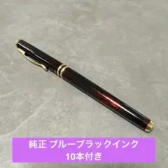 廃盤 PILOT パイロット カヴァリエ 万年筆 F グリーンマーブル - メルカリ