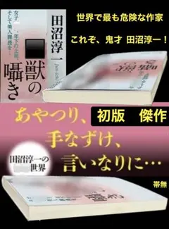 世界で最も◯◯な作家 鬼才 田沼淳一 希少【初版】 傑作 ◯獣シリーズ