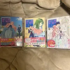 悪役令嬢は隣国の王太子に溺愛される 6