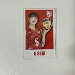 女子バレーボール　関菜々巳　ミニ色紙　直筆サイン入り N-04 関菜々巳 (ノーマル) 】 バレーボール女子日本代表2025