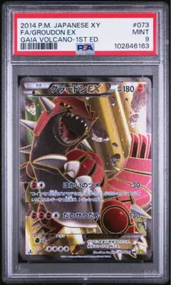 2025年最新】SR EX グラードンの人気アイテム - メルカリ