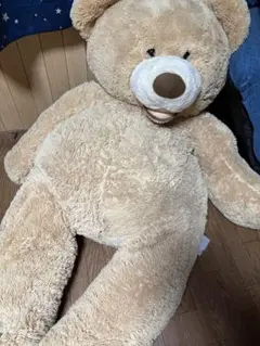 クマのぬいぐるみ 特大