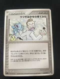 2026年最新】ポケモンカード ウツギはかせの育てかた 023/L-P プロモの