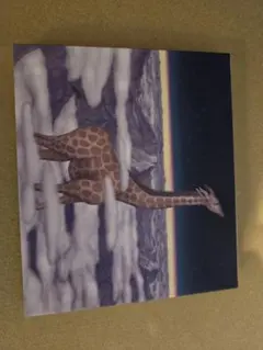 2026年最新】リーガルリリー kirinの人気アイテム - メルカリ