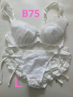 ホワイトレースブラジャーショーツセット