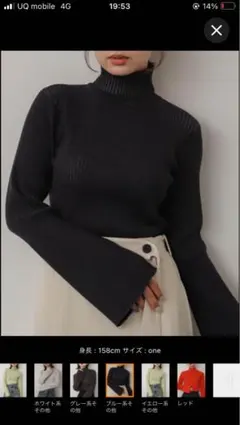 センスオブプレイス フレアスリーブ