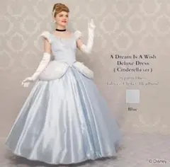 ヴァネッサ　シークレットハニー　Dハロ仮装　アースラ　ディズニー　衣装 ヴァネッサ シークレットハニー Dハロ仮装 アースラ ディズニー 衣装