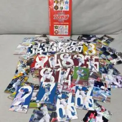 2024カルビー プロ野球チップス カード