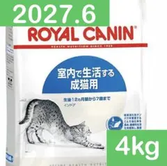 5月1日22時取下】ロイヤルカナン インドア 猫用 2キロ×2個 - メルカリ