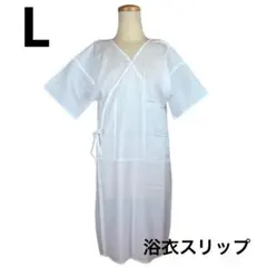 Item thumbnail for item 4a6175b9-7758-45a9-9fdd-1c98810580d0