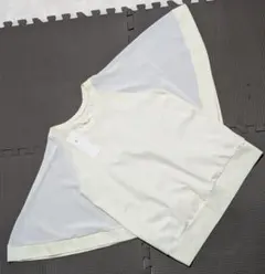 Item thumbnail for item 794e3c4b-a643-4391-9517-02e789bc8842