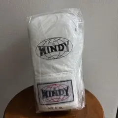 WINDY グローブ　8オンスのサムネイル