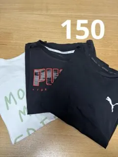 Tシャツ PUMA 男の子 150センチ まとめ売り