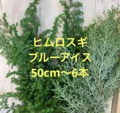 sangopapa様 リクエスト 3点 まとめ商品