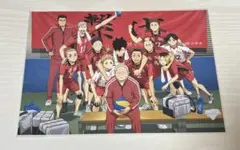 ハイキュー!! ゴミ捨て場の決戦 入場特典