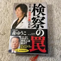 検察の罠 小沢一郎抹殺計画の真相　森ゆうこ