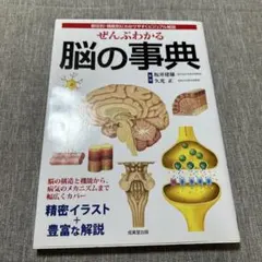 Item thumbnail for item eaae1cb1-da3e-4ed2-b643-49df5f7def7c