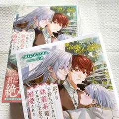 【コミコミ 小冊子付】訳アリ子持ちベータは、執着系竜人アルファ王太子に溺愛される