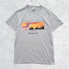 《 DELTA 》 USA古着 アウトドア シカ 半袖Tシャツ プリントT M
