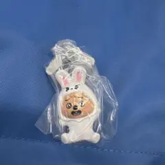 Stray Kids スキズ SKZOO つまんでつなげてますこっと ハン