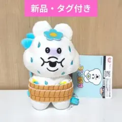 【新品・タグ付き】んぽちゃむ かたのせぬいぐるみのサムネイル