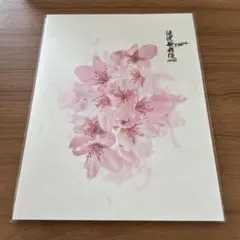 SnowMan 滝沢歌舞伎ZERO FINAL パンフレット　おまけ付き