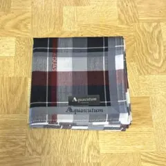 Aquascutum ハンカチ ブルーグレー チェックのサムネイル