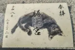 ゆかり様 リクエスト 3点 まとめ商品