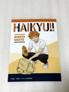 ジャンプフェスタ2026 ハイキュー ピクチャーズコレクション 日向 翔陽