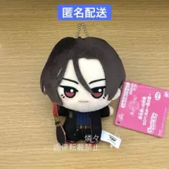 ☆匿名配送☆ 魔法使いの約束 ちびぐるみ 西の国