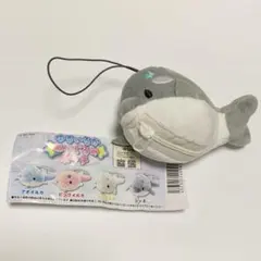 2025年最新】みいるかぬいぐるみの人気アイテム - メルカリ