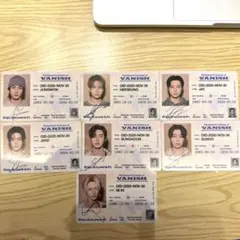 THE SIN：VANISH FUGITIVES Ver IDCARD コンプ