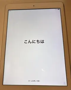 Apple iPad Air 第一世代　32GB【美品】