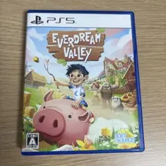 EVERDREAM VALLEY PS5
