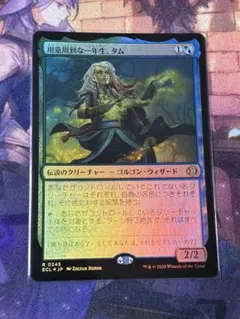 カルドハイム BOXプロモ ボーダーレスfoil 領界渡り 日本語 1枚 - メルカリ