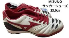 Item thumbnail for item d2ff1f29-56ab-4a80-8a2e-90d04e459543