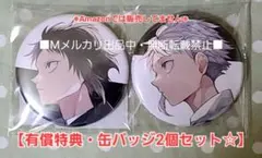文豪ストレイドッグス 缶バッジ ゲーマーズ 冬の本まつり 3個セット