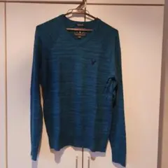 American Eagle Vネックセーター 青