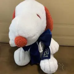 キャラクターぬいぐるみセット６点セットまとめ買い